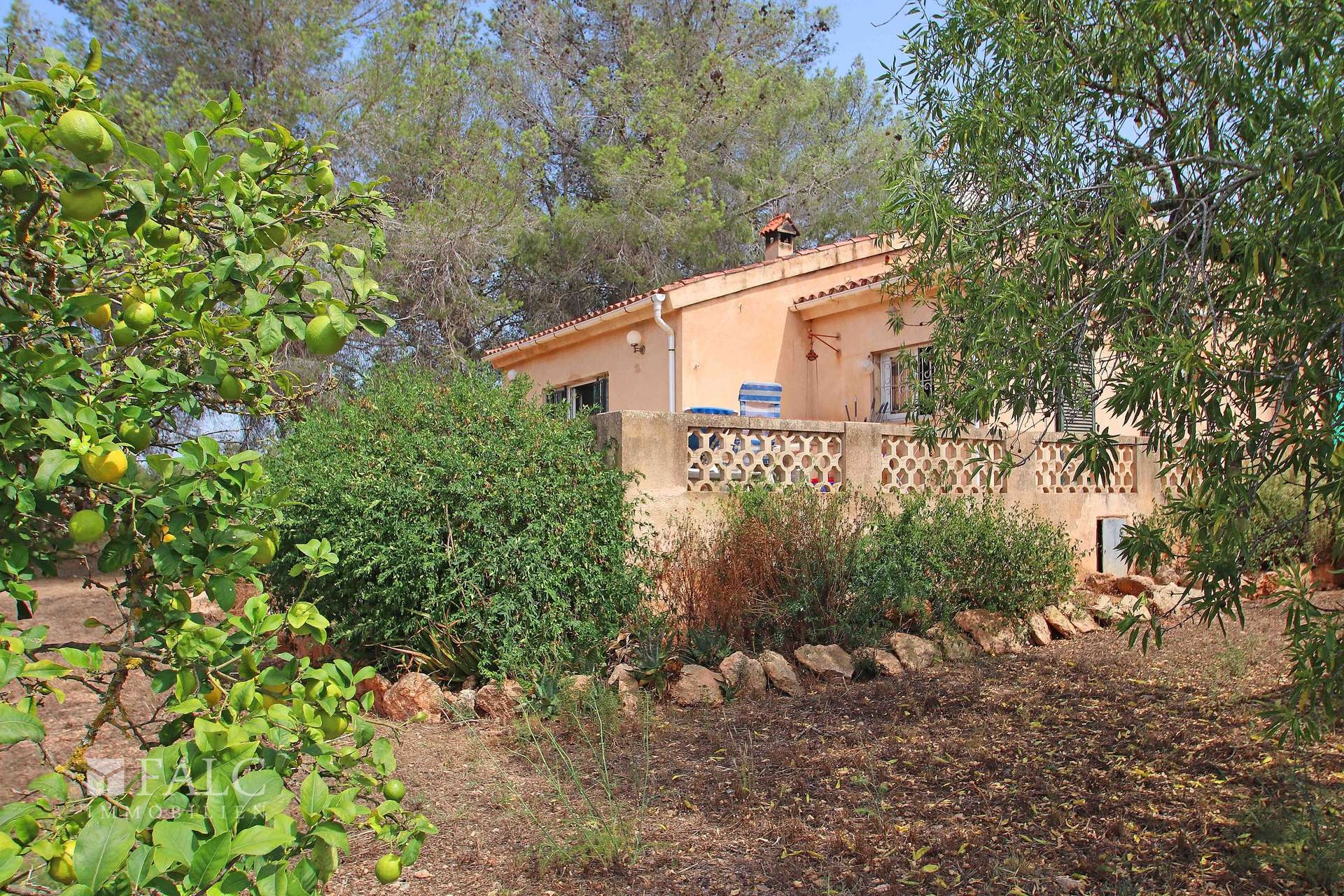 Finca
